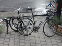 Trek